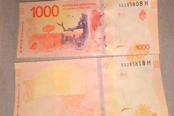 Después de las monedas, los billetes: cotizan por las nubes los que tienen curiosos errores de impresión