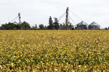 ¿Qué dice el agro frente al cambio climático? (Fuente: Télam)