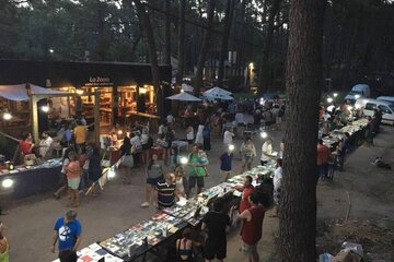 Feria del Libro en Mar Azul, lecturas en el bosque