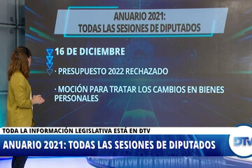 Las leyes que marcaron el año parlamentario en la Cámara de Diputados