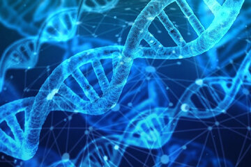 Un equipo científico internacional decodificó el genoma humano completo