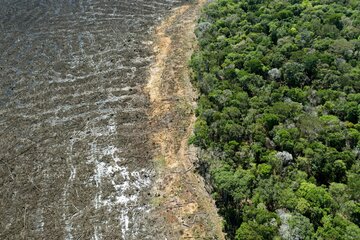 Brasil: la batalla final por el medioambiente (Fuente: AFP)
