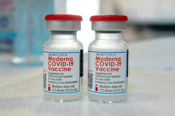 Tuvieron que retirar 765.000 vacunas de Moderna porque encontraron un mosquito dentro de una dosis