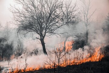 Un tremendo incendio arrasa Nuevo México