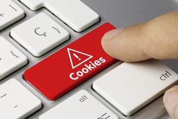 Qué son las "cookies" y por qué pueden afectar la privacidad en Internet  (Fuente: Télam)