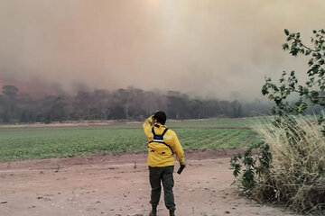 Concentran esfuerzos para que el fuego no llegue al Parque Nacional Calilegua (Fuente: Gobierno de Jujuy)