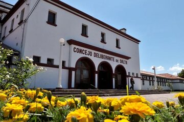 Reforma de la Carta Orgánica Municipal de la capital salteña