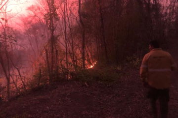 Incendios forestales jaquean nuevamente la Biósfera de Yungas (Fuente: Imagen: Gentileza Finca Nocetti.)