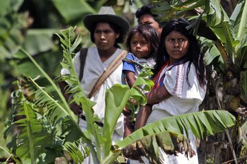 La Unesco reconoció la sabiduría de cuatro pueblos indígenas colombianos (Fuente: AFP)