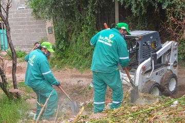 El Programa Manzanas Saludables realizan tareas de fumigación.