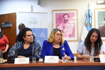 Analizan la creación de una pensión reparatoria para personas travestis-trans 