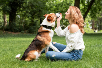 Día Mundial del Perro: ¿por qué se celebra? 