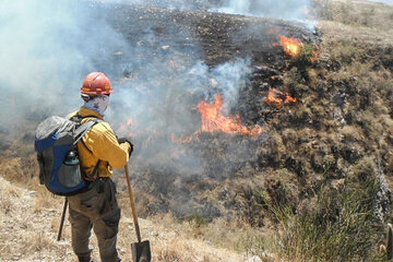 Jujuy registró más de 50 incendios la última semana y preocupa un foco activo en las Yungas   (Fuente: Gentileza JujuyAlDia)