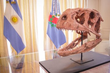 Hallaron restos de cocodrilos y dinosaurios carnívoros de más de 70 millones de años
