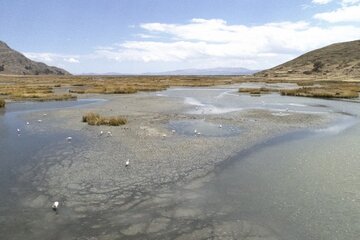 El nivel del lago Titicaca desciende a su mínimo histórico (Fuente: AFP)