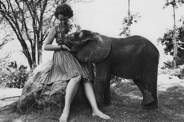 Daphne Sheldrick: la guardiana de los elefantes