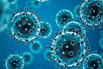 La OMS advierte sobre la enfermedad X, 20 veces más mortal que la covid: qué es y por qué podría ser una nueva pandemia