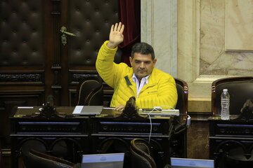 Olmedo fue removido por votación y reemplazado por la libertaria Fabiana Martín. (Fuente: NA)