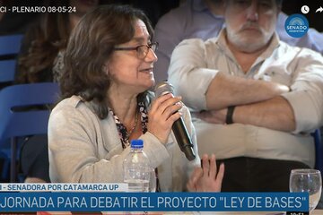 Lucía Corpacci en el debate de la Ley Bases.