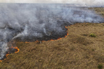 Los incendios dejan un manto de humo y cenizas en el Pantanal brasileño (Fuente: EFE)