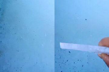 Por la ola de frío extremo, un pampeano mostró cómo se congeló el agua de su pileta (Fuente: @SMN_Argentina)