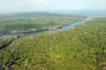 Brasil: la Unión Europea anunció una donación millonaria para el Fondo Amazonia (Fuente: EFE)
