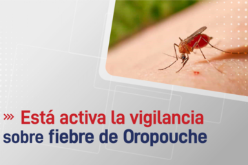 Alerta en la provincia por la fiebre de Oropouche