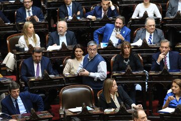 Los diputados peronistas sentaron posición: apoyo a Fabiola Yañez y repudio a Alberto Fernández (Fuente: NA)