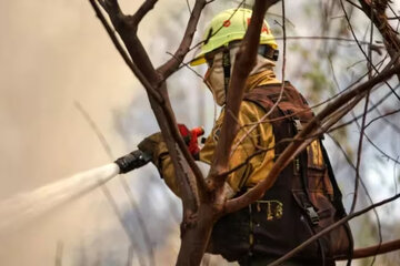 El fuego en Córdoba avanzó sobre más de 12.600 hectáreas (Fuente: NA)