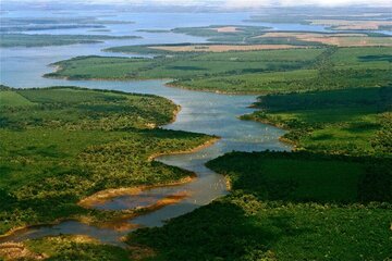 Una turista italiana denunció que fue abusada sexualmente en los Esteros del Iberá (Fuente: Archivo)