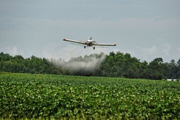 Denuncian a frigoríficos de Brasil por la “destrucción química” del Pantanal  (Fuente: Imagen web)