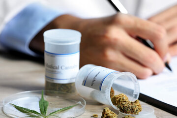 Avanza el proyecto de ley para regularizar el cannabis medicinal