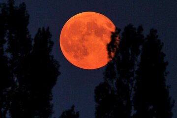 Cuándo se podrá ver la "Luna de sangre", el eclipse lunar total
