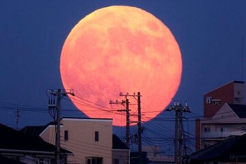 Luna Roja: cuándo se verán los próximos eclipses en Argentina
