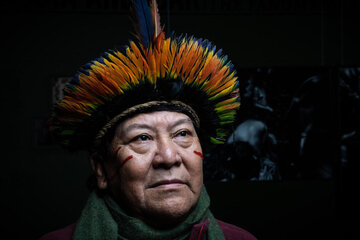Denuncia urgente a la depredación de  Amazonia (Fuente: AFP)