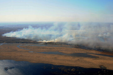 La quema de pastizales impacta negativamente en la zona del Delta del río Paraná.