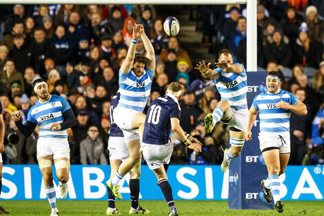 Los Pumas cayeron ante Escocia y se complican sus chances
