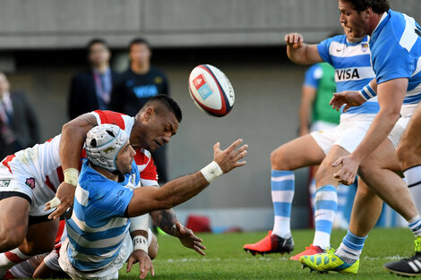 Los Pumas derrotaron a Japón