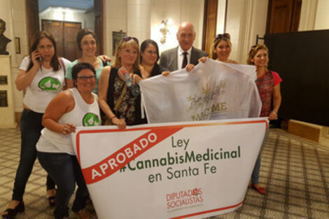 Bonfatti y representantes de ONg que impulsan el cannabis. 