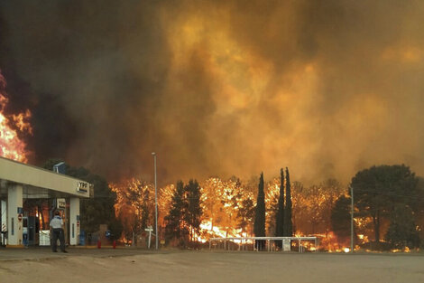 Controlaron el fuego en Cariló y Valeria del Mar