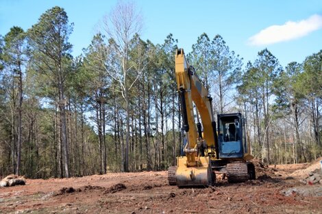 Una ley contra los bosques nativos de Córdoba