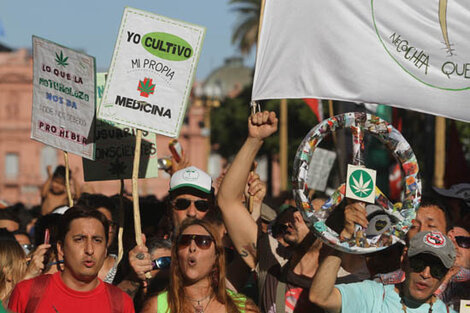 En marcha por el autocultivo