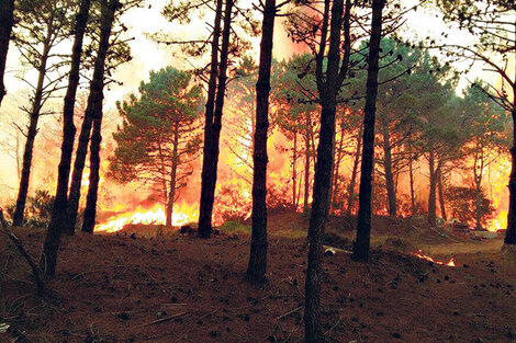 Un día a puro fuego en Valeria del Mar