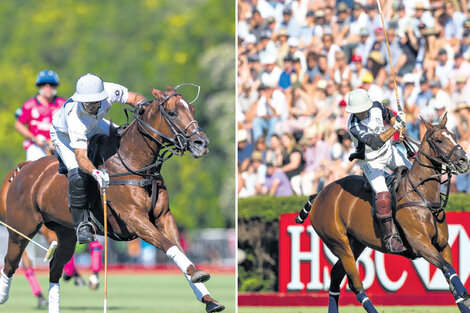 Gonzalo Pieres y David Stirling estarán esta tarde en Palermo. (Fuente: AAP/Matías Callejo)