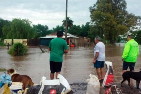 Alerta en Salto por la crecida del río