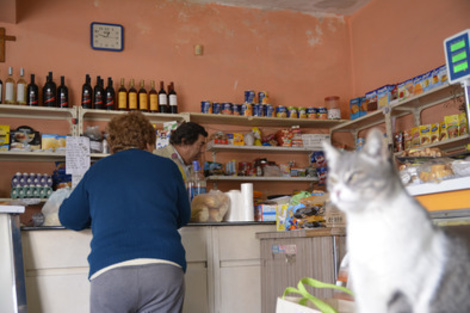 Los sectores de menores recursos usan la mayor parte de sus ingresos en alimentos y bebidas. (Fuente: Sebastián Joel Vargas)