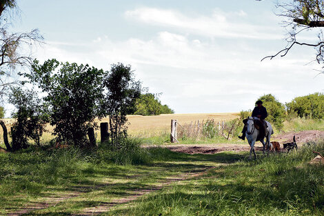 Malestar entre los productores de campo