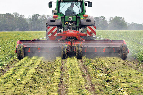 “Existen interrogantes sobre la conveniencia económica del agronegocio”, interpela José Pierri. (Fuente: EFE)