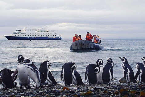 Desembarco en la pingüinera de Isla Magdalena durante la travesía del Estrecho de Magallanes. 