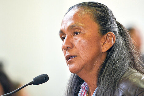 Elizabeth Gómez Alcorta: "Las irregularidades ameritan un juicio político a Morales” (Fuente: AFP)